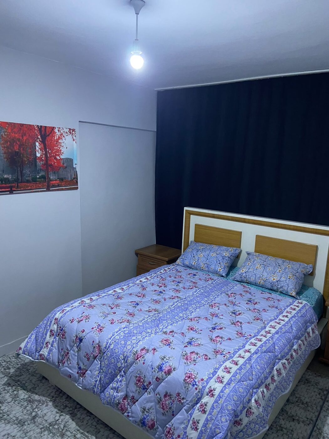 Lavanta Oda - Diyarbakır günlük kiralık daire